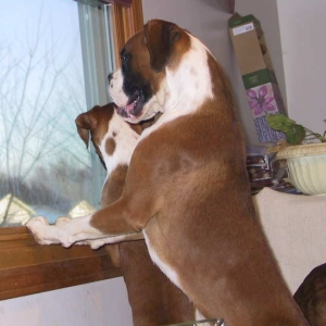 Let us out!