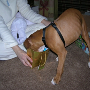 christmas 2005