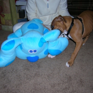 christmas 2005