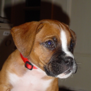 november 2005
