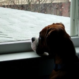 Watchin' the world go by