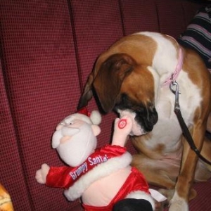 Hello Santa