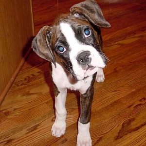 What's Up?