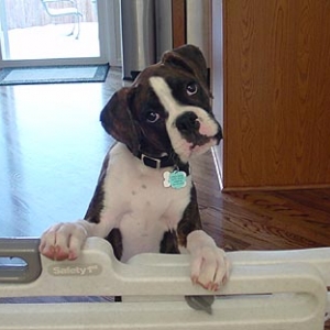 Whatcha Doin'?