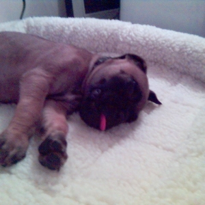 Touchdown Asleep