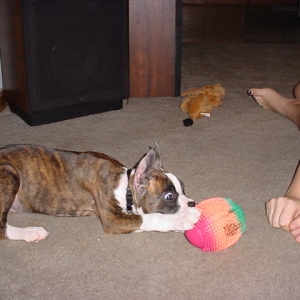Attack that BALL!!!