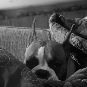Hey!  I'm Sleepin' Here!