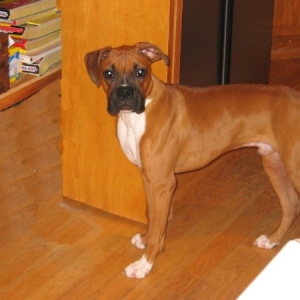 Riley at 6 months