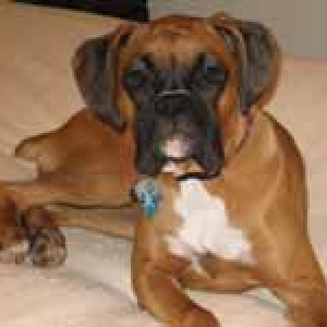 Gretchen at 7 months