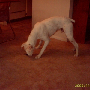 getting big