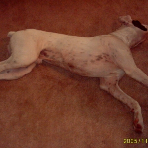 Demps @ 7 months old