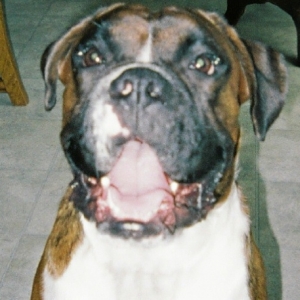 Tobie Smiles!!