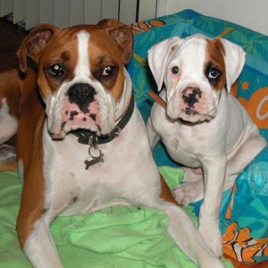 Big Sister with her new brother