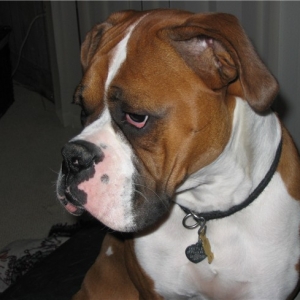 Handsome!