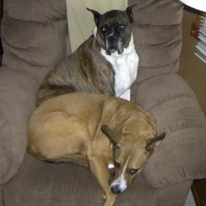 Casy & Tazz 1-06