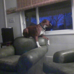 Waiting to Come Home