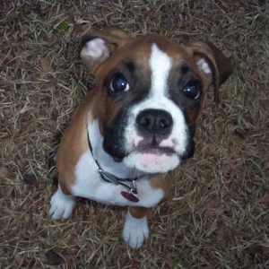 13 weeks