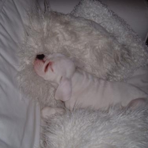 sleeping
