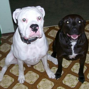Oscar & Angel