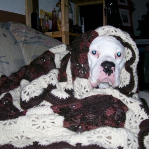 Oscar all bundled up