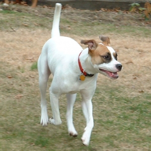 Hannah Running
