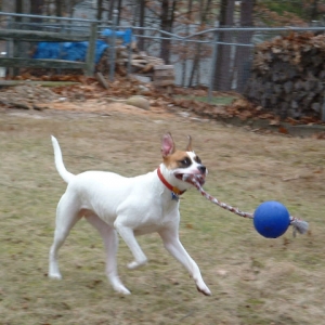 Hannah with Jolly Ball
