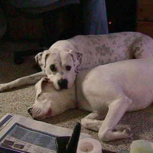 Oscar & Pete