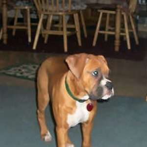 Zeus