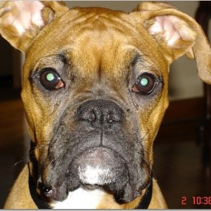 i'm ready for my closeup
