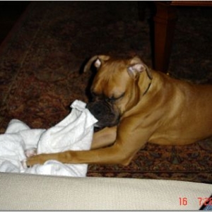 love my towel