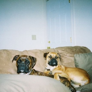 cuddle