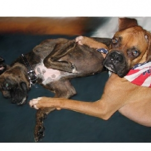 playtime