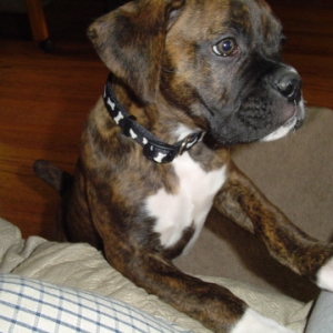 what am I missing out on!