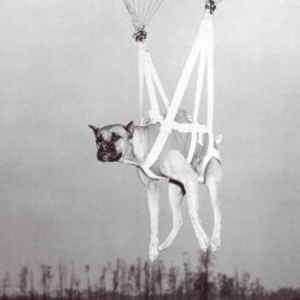 Paratrooper