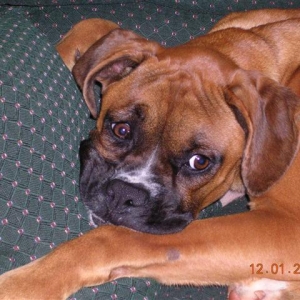 max