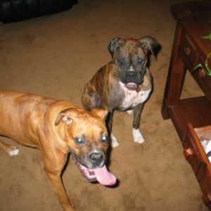 Brutus and Fiona