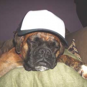 jazz in trucker hat
