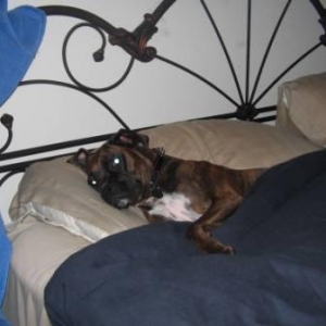 My Bed
