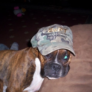 dutchess