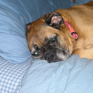Daddy i'm tired leave me alone