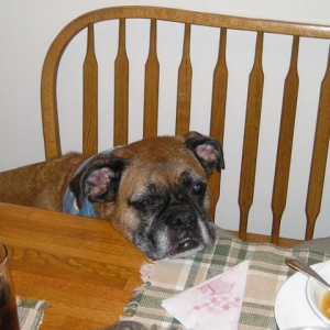 can i get some food too?