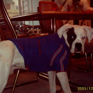 He hates his sweater