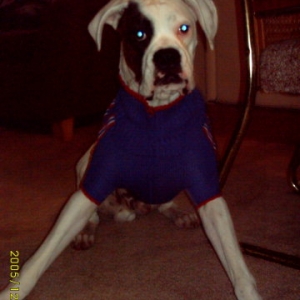 He hates his sweater