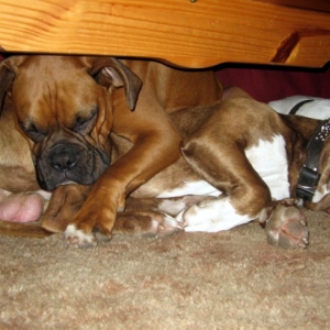 Enzo and Alexander