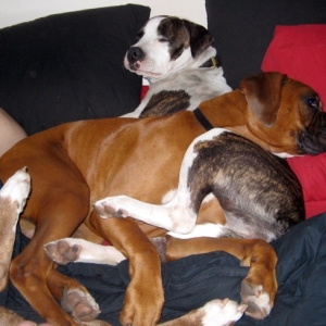 Enzo and Trina