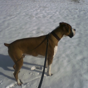 Snow 1-19-2005 #1