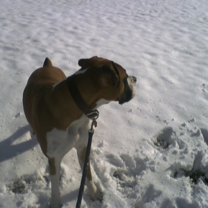 Snow Day
