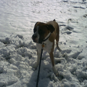 He Loves Snow