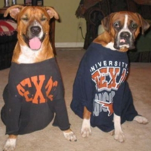 Go UT