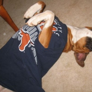 Sassy was very happy UT won the Rose Bowl